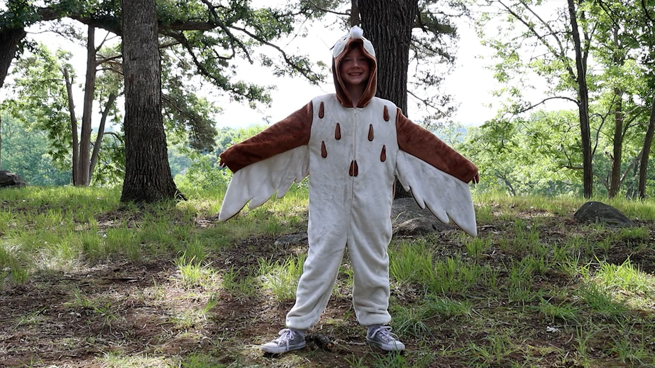 This Kid's Deluxe Disney Owl Costume will instantly transform your child into a wise old owl. Now he might start telling you how to win games, and reading you a bedtime story.